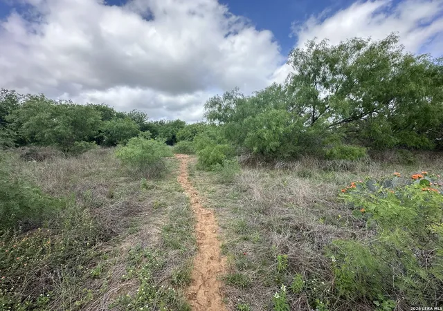 Photo 4 of Land for sale at 17603 Shepherd Rd, Atascosa, TX 78002 | MLS# 1965027 | Listing updated on 2026-08-17