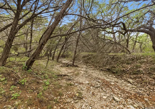 Photo 4 of Land for sale at 290/Tbd Madrona Dr/ Madrona Pass, New Braunfels, TX 78132 | MLS# 1965409 | Listing updated on 2026-05-20