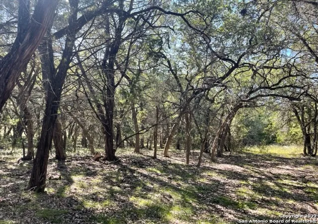 Photo 2 of Land for sale at 420 Spring St, Spring Branch, TX 78070 | MLS# 1965502 | Listing updated on 2026-05-20