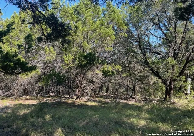Photo 3 of Land for sale at 420 Spring St, Spring Branch, TX 78070 | MLS# 1965502 | Listing updated on 2026-05-20