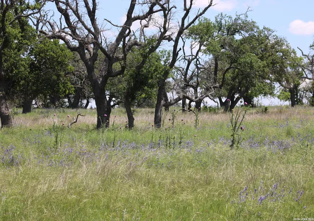 12th image of 132 Pack Saddle Ln, Fredericksburg, TX 78624 | MLS# 1965628