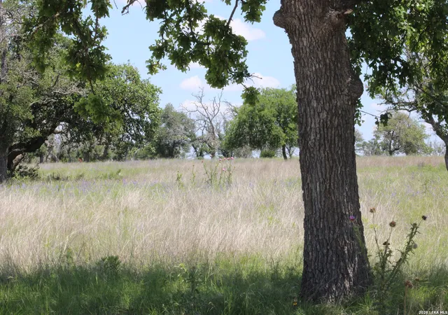 12th image of 135 Pack Saddle Ln, Fredericksburg, TX 78624 | MLS# 1965635