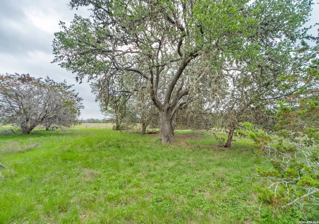 4th image of Tract 2 Elm Pass, Bandera, TX 78003 | MLS# 1965647