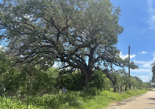 3rd image of 920 County Road 665, Devine, TX 78016 | MLS# 1965679
