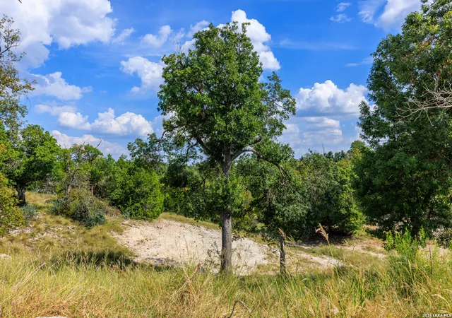 Homes for sale in Fredericksburg, TX | Lot 7 Longview Dr, Fredericksburg, TX 78624 | MLS# 1965750