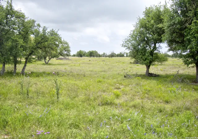 Homes for sale in Harper, TX | Lot 106 Oryx View Dr, Harper, TX 78631 | MLS# 1966086
