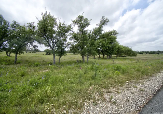Homes for sale in Harper, TX | Lot 106 Oryx View Dr, Harper, TX 78631 | MLS# 1966086