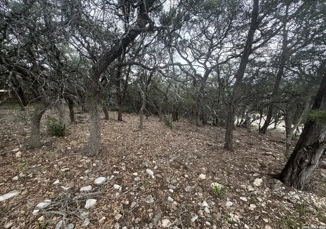 Photo 4 of Land for sale at 25918 Silver Cloud Dr, San Antonio, TX 78260 | MLS# 1966151 | Listing updated on 2026-08-17