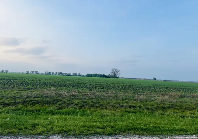 Photo 3 of Land for sale at Lot 2 Lower Seguin, Marion, TX 78124 | MLS# 1966576 | Listing updated on 2026-08-30