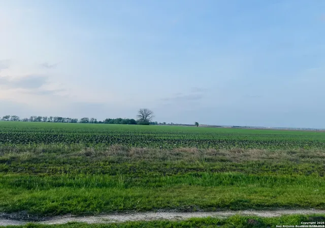 Photo 3 of Land for sale at Lot 2 Lower Seguin, Marion, TX 78124 | MLS# 1966576 | Listing updated on 2026-08-30