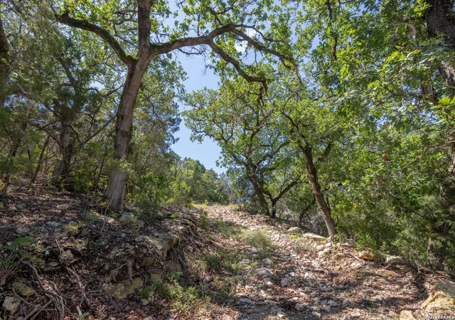 1st image of 625 County Road 2763, Mico, TX 78056 | MLS# 1966735