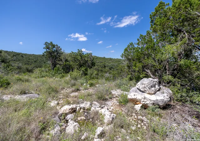 2nd image of 625 County Road 2763, Mico, TX 78056 | MLS# 1966735