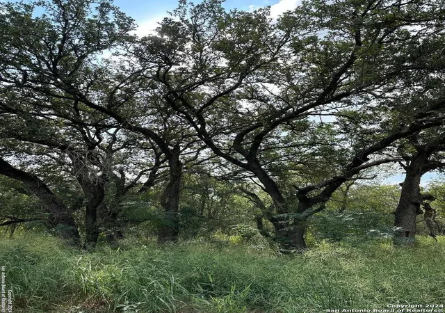 Photo 2 of Land for sale at 20594 S State Hwy 16, Atascosa, TX 78264 | MLS# 1966780 | Listing updated on 2026-08-27