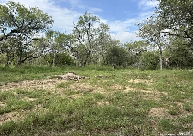 Photo 3 of Land for sale at 20594 S State Hwy 16, Atascosa, TX 78264 | MLS# 1966780 | Listing updated on 2026-08-27