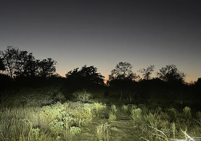 Photo 4 of Land for sale at 20594 S State Hwy 16, Atascosa, TX 78264 | MLS# 1966780 | Listing updated on 2026-08-27