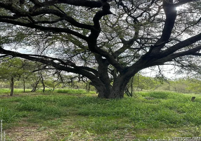 2nd image of 20588 S State Hwy 16, Von Ormy, TX 78073 | MLS# 1966785