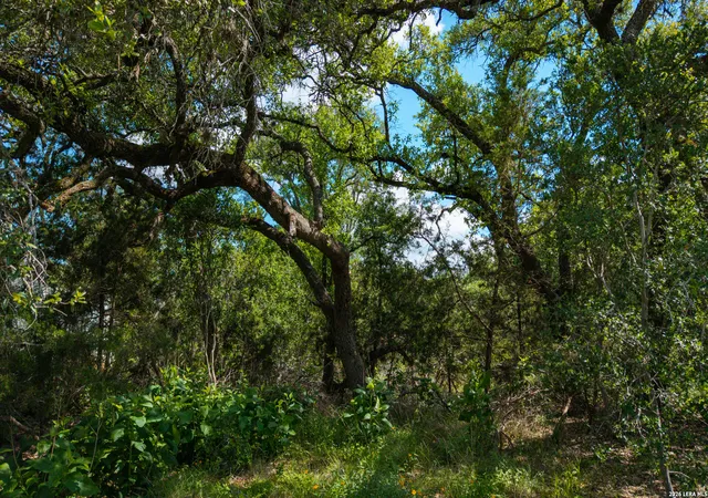 Photo 4 of Land for sale at 1109 Towhee, New Braunfels, TX 78132 | MLS# 1966924 | Listing updated on 2026-09-21