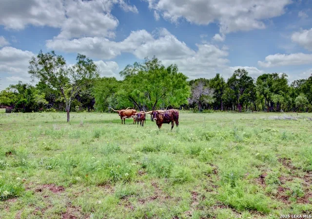 Homes for sale in Bulverde, TX | 1007 Indigo Run, Bulverde, TX 78163 | MLS# 1967002