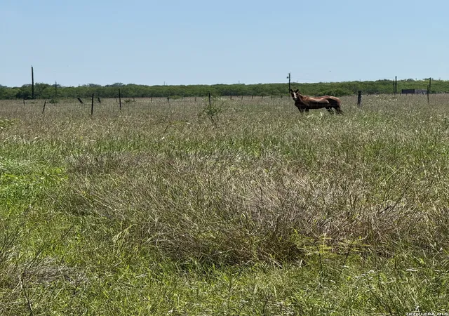 Photo 3 of Land for sale at 2731 Atascosa County Road 101, Floresville, TX 78114 | MLS# 1967225 | Listing updated on 2026-05-26