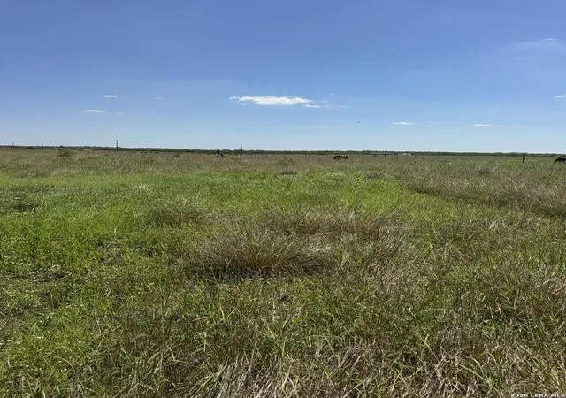 5th image of 2731 Atascosa County Road 101, Floresville, TX 78114 | MLS# 1967225