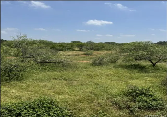 20th image of 0 Cr 106, Floresville, TX 78114 | MLS# 1967409