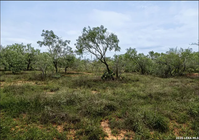 5th image of 0 Cr 106, Floresville, TX 78114 | MLS# 1967409