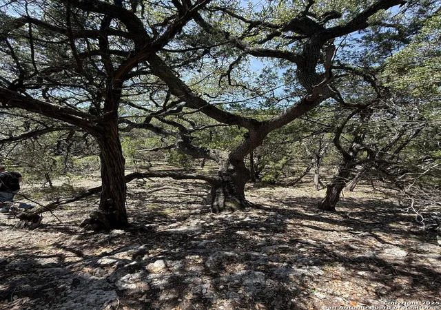 9th image of 26709 Turkey Run, Boerne, TX 78006 | MLS# 1967718