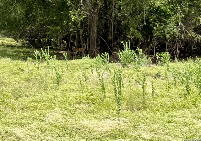 Photo 4 of Land for sale at 11 Stone Crst, Bandera, TX 78003 | MLS# 1967789 | Listing updated on 2026-09-08
