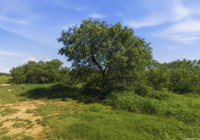 4th image of 00 Cr 329, Floresville, TX 78114 | MLS# 1967837