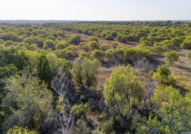5th image of Tbd Cr 331 W, Jourdanton, TX 78026 | MLS# 1968022