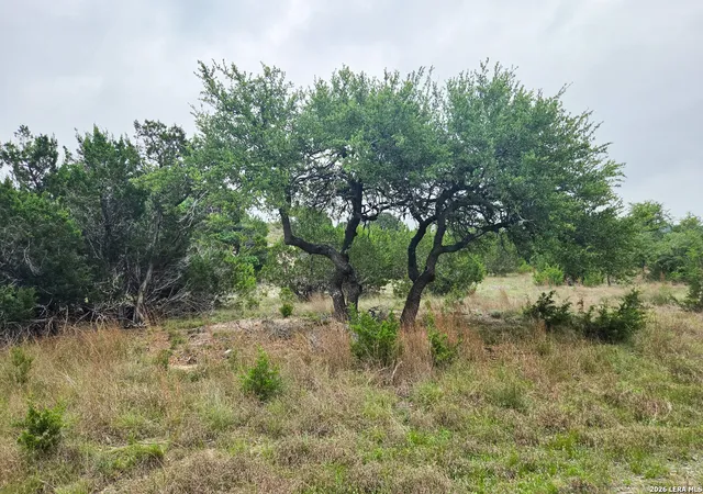 1st image of 44 Falling Oak, Blanco, TX 78606 | MLS# 1968145