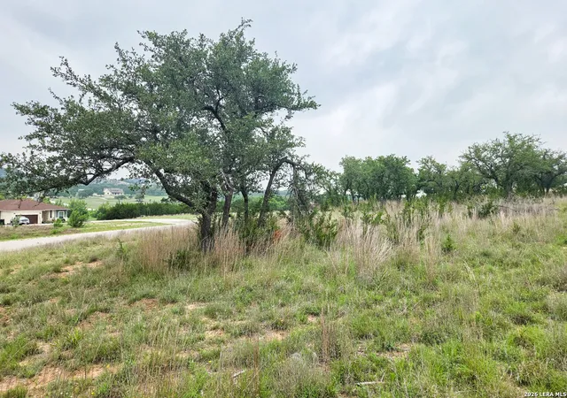3rd image of 44 Falling Oak, Blanco, TX 78606 | MLS# 1968145