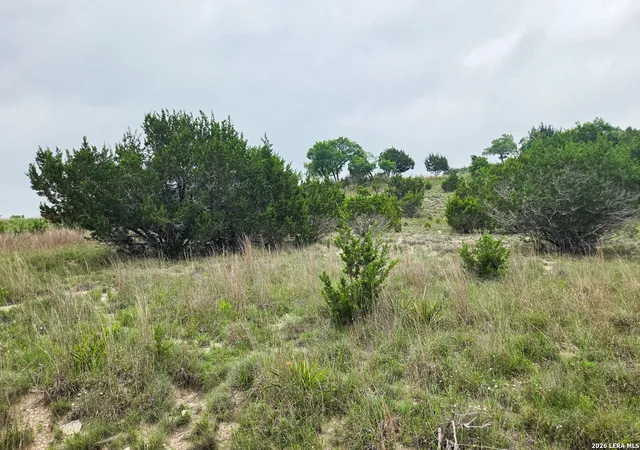 4th image of 44 Falling Oak, Blanco, TX 78606 | MLS# 1968145