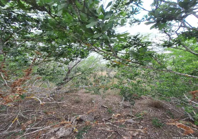 3rd image of 0 Cr 148, Kenedy, TX 78119 | MLS# 1968346