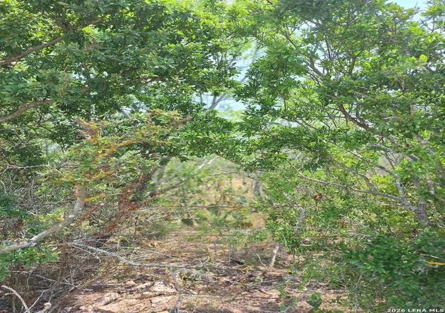4th image of 0 Cr 148, Kenedy, TX 78119 | MLS# 1968346