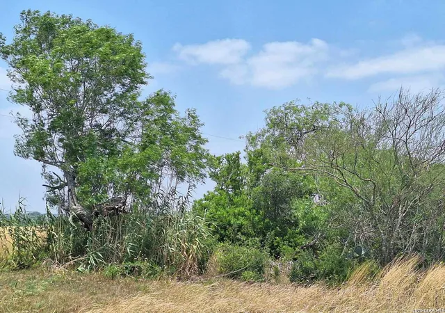 5th image of 0 Cr 148, Kenedy, TX 78119 | MLS# 1968346
