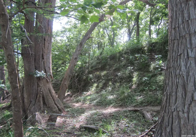 Photo 4 of Land for sale at Tbd Rio Luna, Bandera, TX 78003 | MLS# 1968577 | Listing updated on 2026-05-31