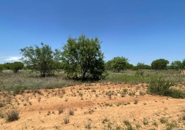 2nd image of Tbd Fm 462 S, Hondo, TX 78861 | MLS# 1968899