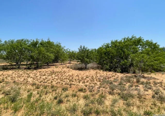 Photo 3 of Land for sale at Tbd Fm 462 S, Hondo, TX 78861 | MLS# 1968899 | Listing updated on 2026-06-01