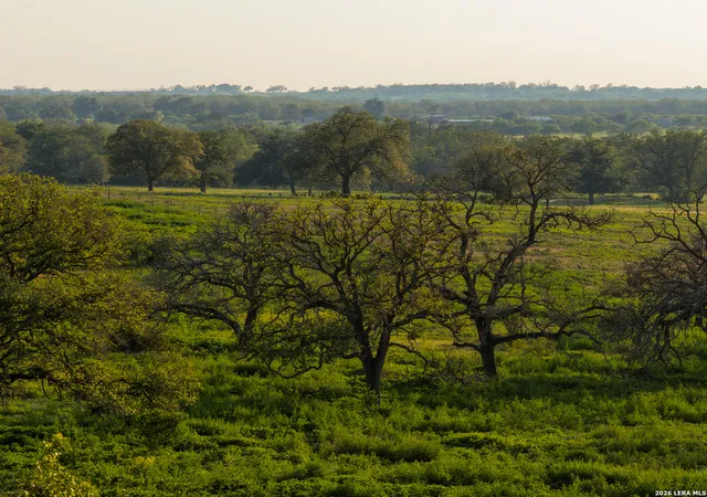 5th image of 430 Watts Rd, Kingsbury, TX 78638 | MLS# 1969372