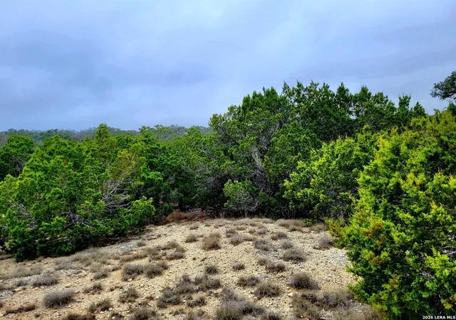 5th image of 193 Appaloosa Dr, Fischer, TX 78623 | MLS# 1969557