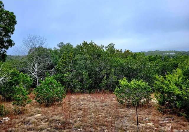 8th image of 193 Appaloosa Dr, Fischer, TX 78623 | MLS# 1969557