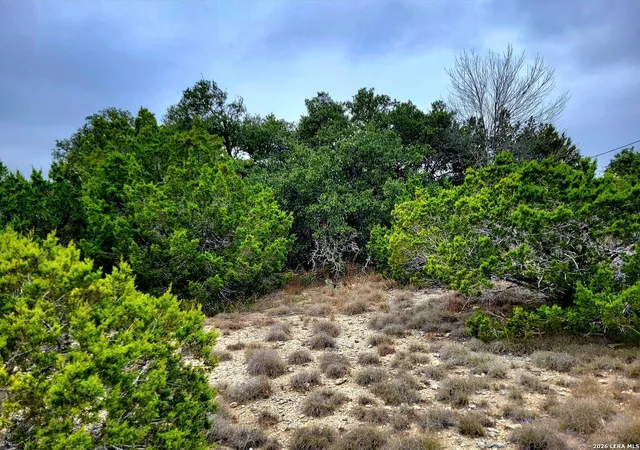 4th image of 171 Appaloosa Dr, Fischer, TX 78623 | MLS# 1969559