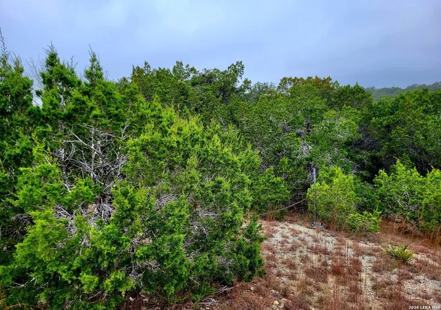 8th image of 171 Appaloosa Dr, Fischer, TX 78623 | MLS# 1969559