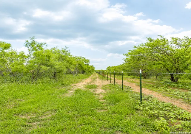Homes for sale in Devine, TX | 3137 County Road 5710, Devine, TX 78016 | MLS# 1969765