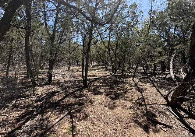 22nd image of 343 Live Oak, Tarpley, TX 78883 | MLS# 1969931