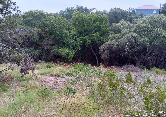 Photo 2 of Land for sale at 421 Lexington Pass, Canyon Lake, TX 78133 | MLS# 1970199 | Listing updated on 2026-08-14