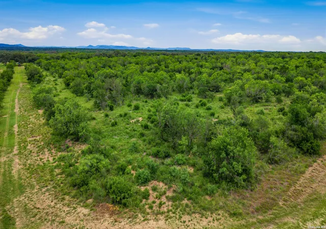 Photo 3 of Land for sale at 9803 Fm 1796, D'hanis, TX 78850 | MLS# 1970422 | Listing updated on 2026-08-10