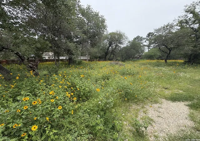 Homes for sale in Elmendorf, TX | 22847 Black Cherry, Elmendorf, TX 78112 | MLS# 1970847