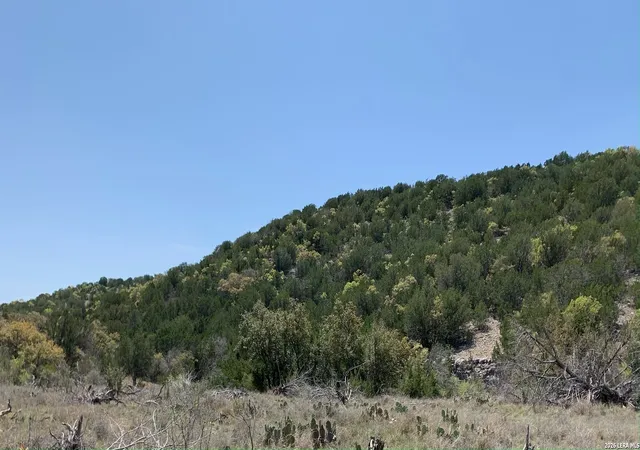 7th image of 3259 Sd 45425, Rocksprings, TX 78880 | MLS# 1970863